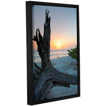 ArtWall Steve Ainsworth "Sanibel Sunrise I" Gallery-Wrapped Floater-Framed Canvas