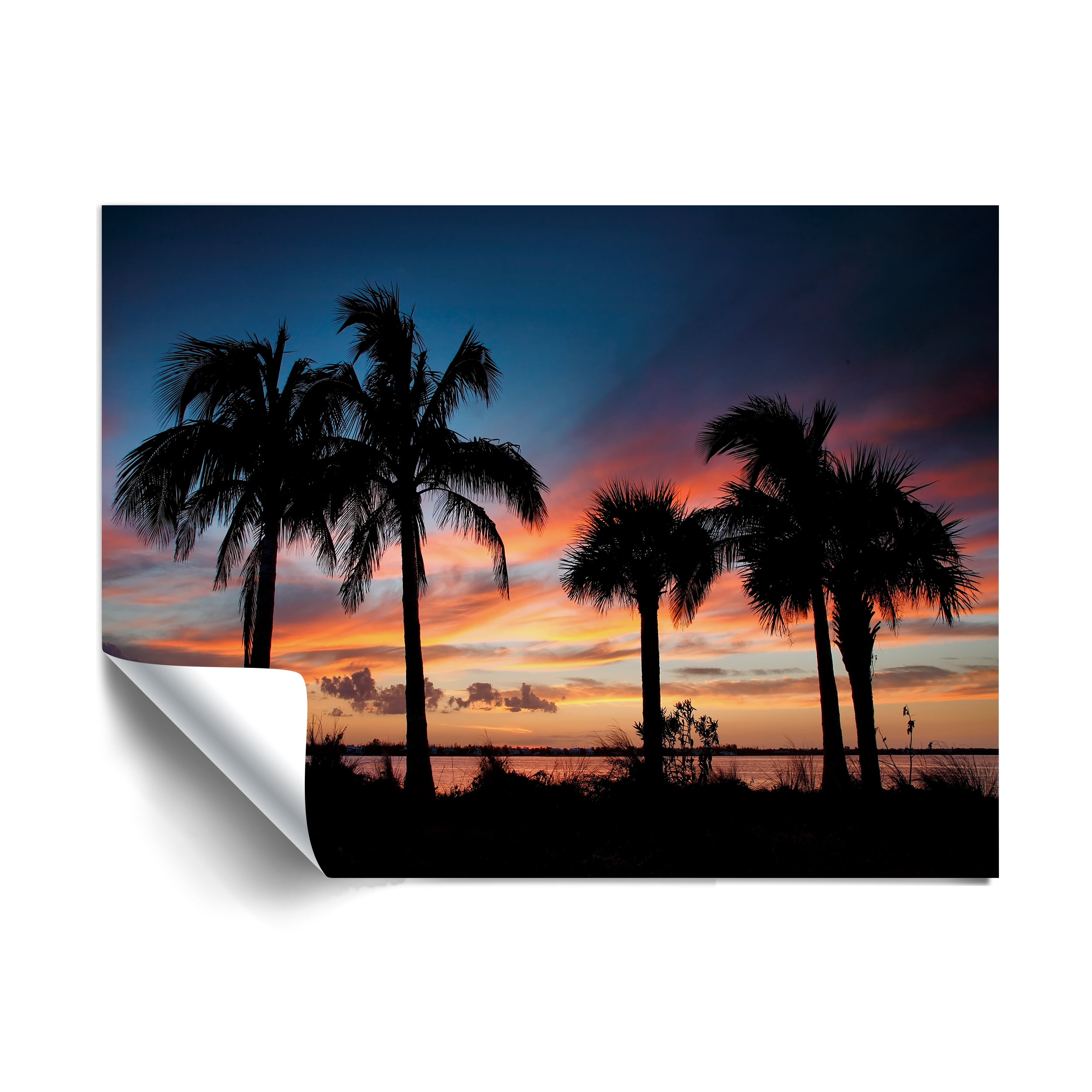 ArtWall Steve Ainsworth Tropical Sunset II Wall Art