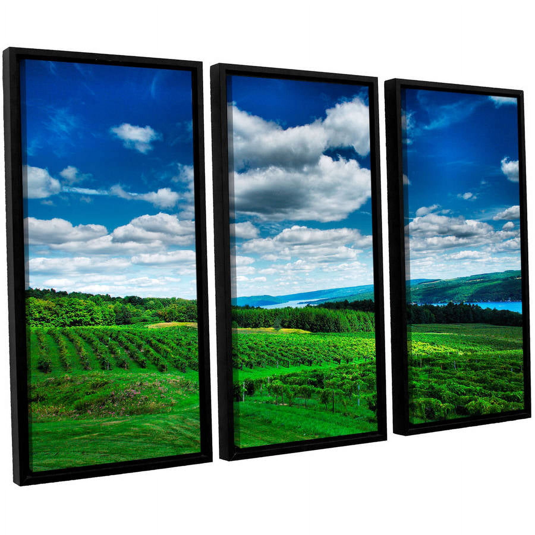ArtWall Steve Ainsworth "Vineyard And Lake" 3-Piece Floater-framed Canvas Set