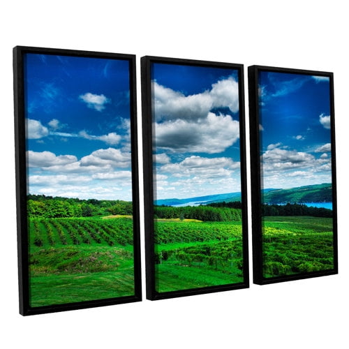 ArtWall Steve Ainsworth "Vineyard And Lake" 3-Piece Floater-framed Canvas Set