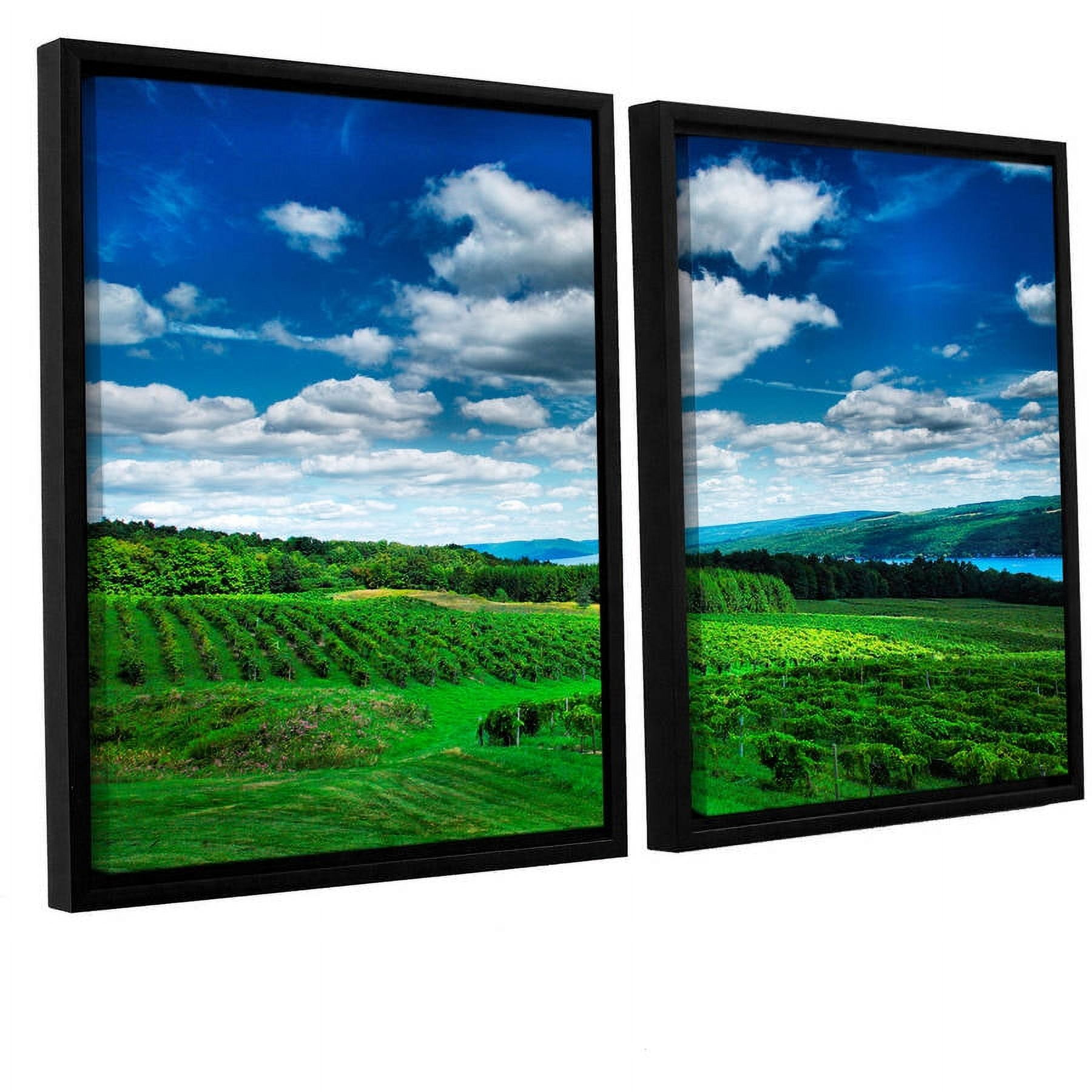 ArtWall Steve Ainsworth "Vineyard and Lake" 2-Piece Floater Framed Canvas Set