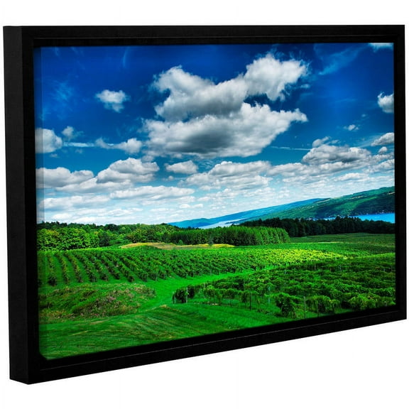 ArtWall Steve Ainsworth "Vineyard and Lake" Gallery-Wrapped Floater-Framed Canvas