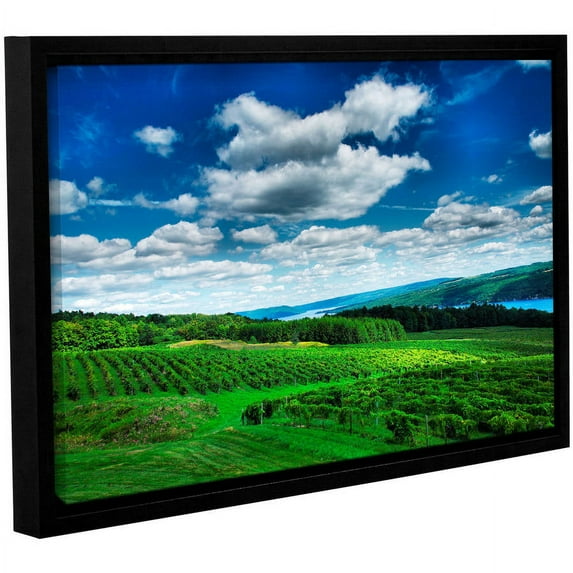 ArtWall Steve Ainsworth "Vineyard and Lake" Gallery-Wrapped Floater-Framed Canvas