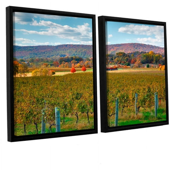 ArtWall Steve Ainsworth "Vineyard in Autumn" 2-Piece Floater Framed Canvas Set