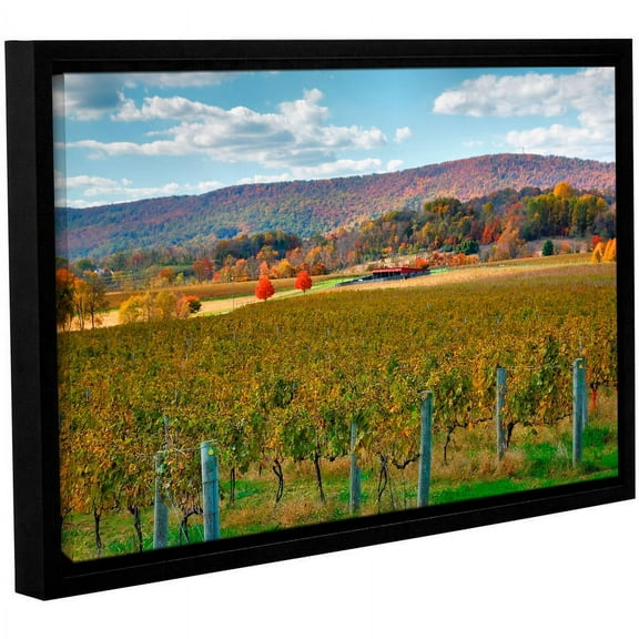 ArtWall Steve Ainsworth "Vineyard in Autumn" Gallery-Wrapped Floater-Framed Canvas