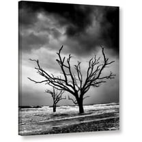 ArtWall Steven Ainsworth "Stormy Monday" Gallery-wrapped Canvas
