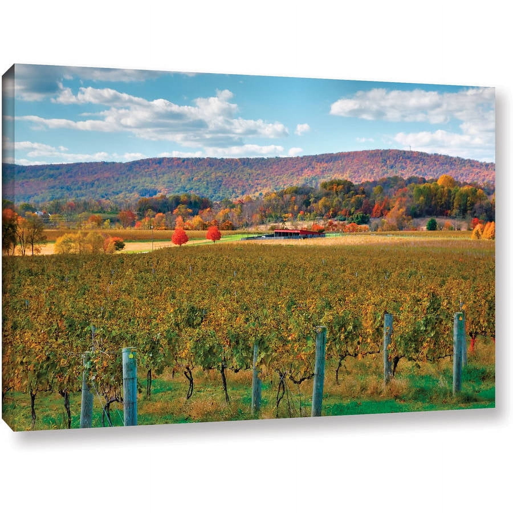 ArtWall Steven Ainsworth "Vineyard in Autumn" Gallery-wrapped Canvas