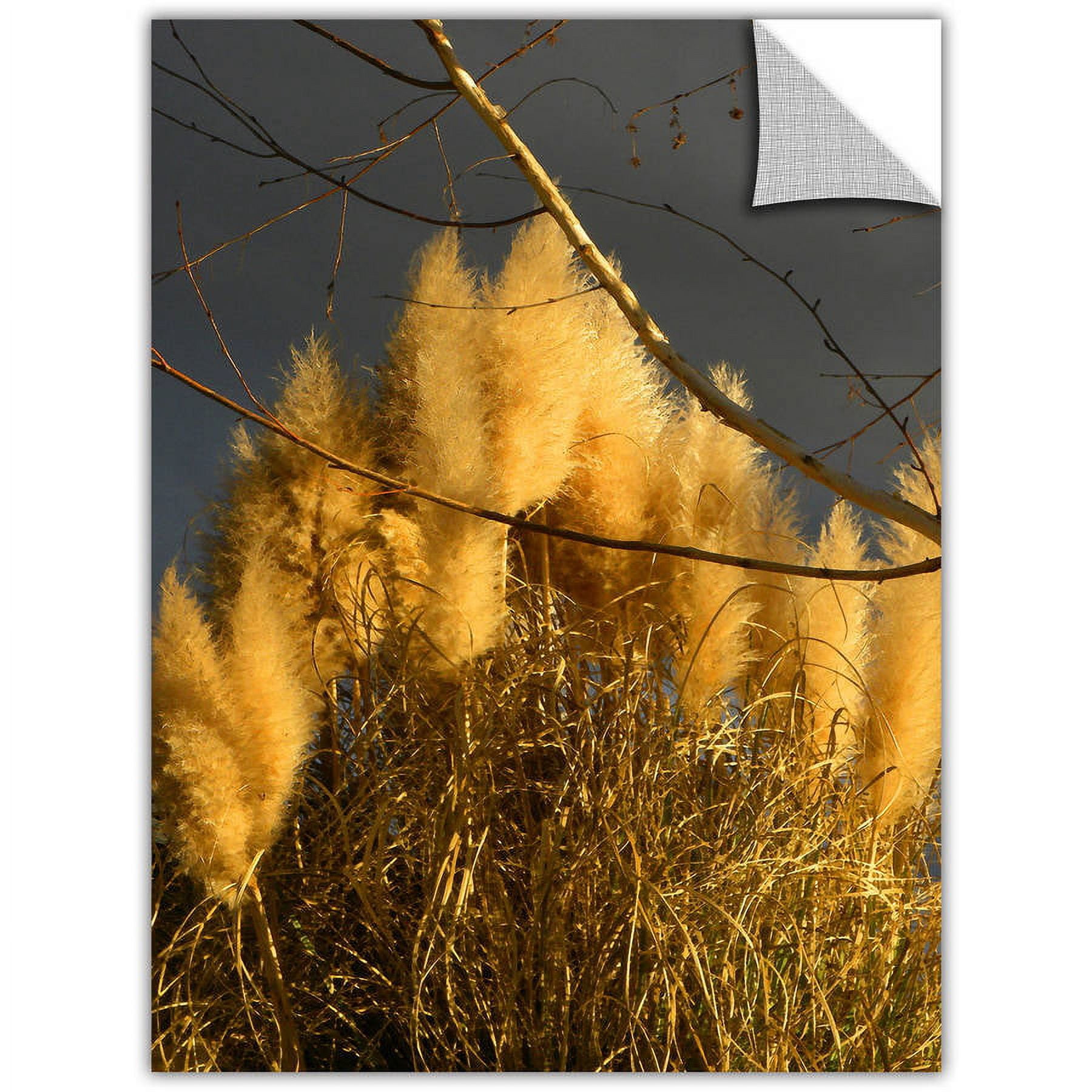Artapeelz Dean Uhlinger "Eagle Point Storm Light 3" Removable Wall Art Graphic