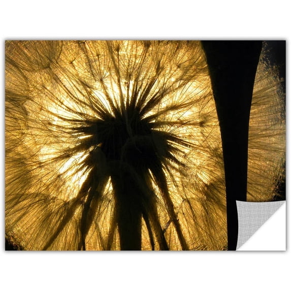 Artapeelz Dean Uhlinger "Heart Of A Lion 2" Removable Wall Art Graphic