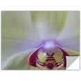 thumbnail image 1 of Artapeelz Dean Uhlinger "Impression Of Orchid" Removable Wall Art Graphic, 1 of 1