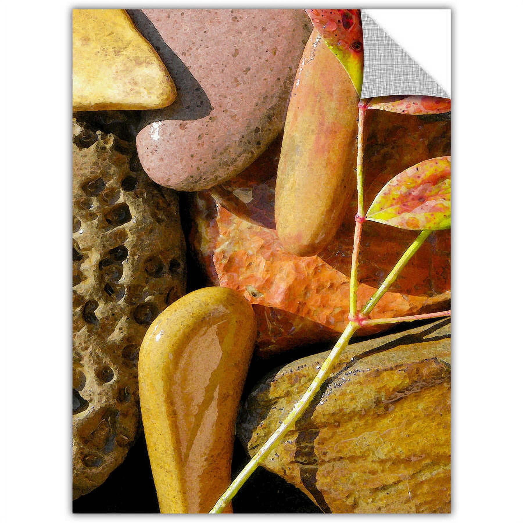 Artapeelz Dean Uhlinger "Natural World 20" Removable Wall Art Graphic