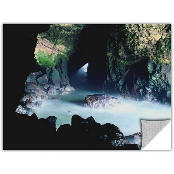 Artapeelz Dean Uhlinger "Sea Lion Cave" Removable Wall Art Graphic