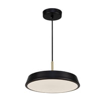 Artcraft Lighting Lexi Collection 1Light 12" Pendant Black