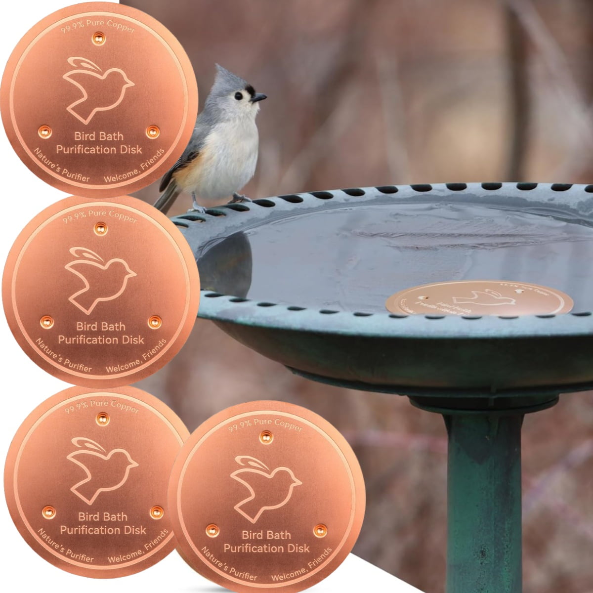 ArtechMan Bird Bath Copper Disk, Four-Point Support 99.99% Pure Copper Bird Bath Cleaner to ...
