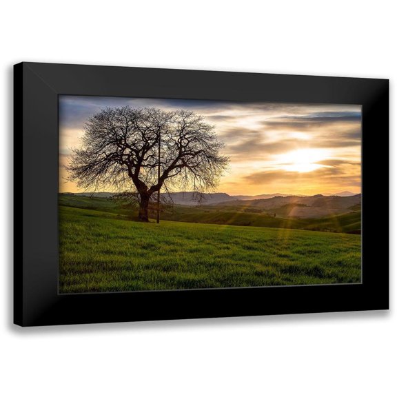 Artemiadi, Dora 14x11 Black Modern Framed Museum Art Print Titled - The Tree