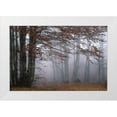 thumbnail image 1 of Artemiadi, Dora 24x17 White Modern Wood Framed Museum Art Print Titled - Autumn Paintings, 1 of 4