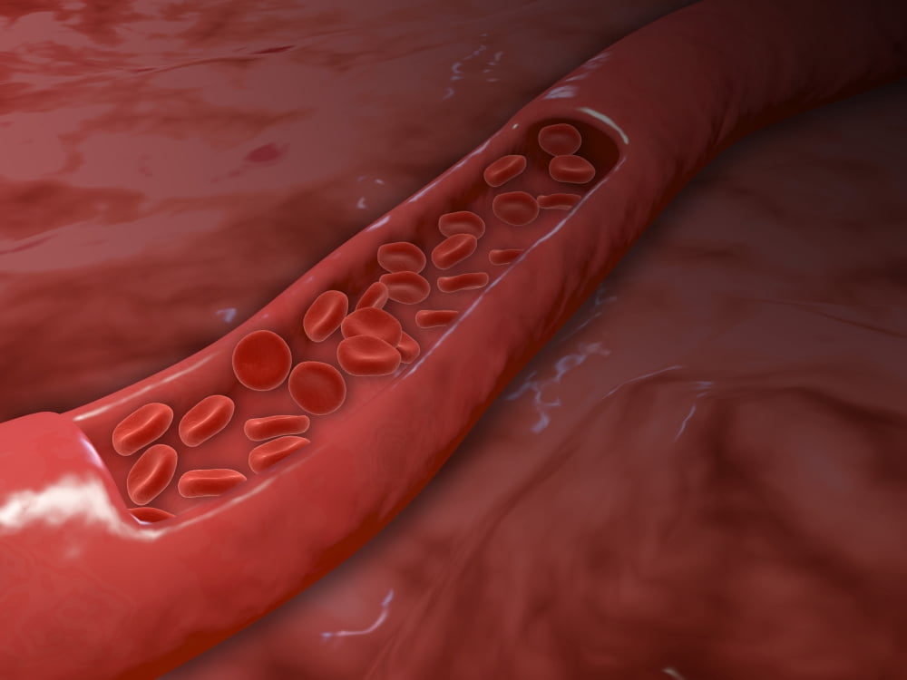 Artery cross section with red blood cell flow Canvas Art - Stocktrek Images (17 x 13)