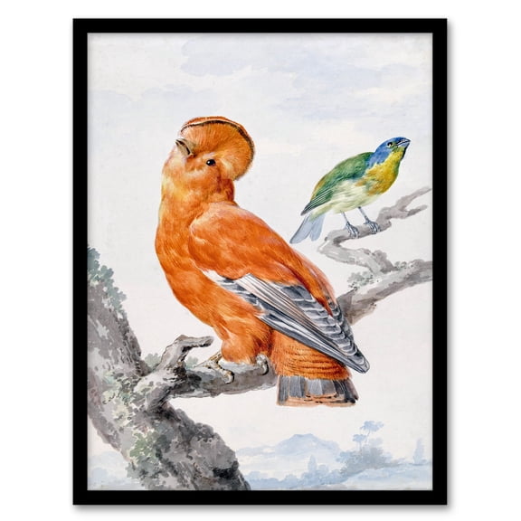 Artery8 Aert Schouman Two Exotic Birds Watercolour Painting Framed Wall Art Print Home Décor A4