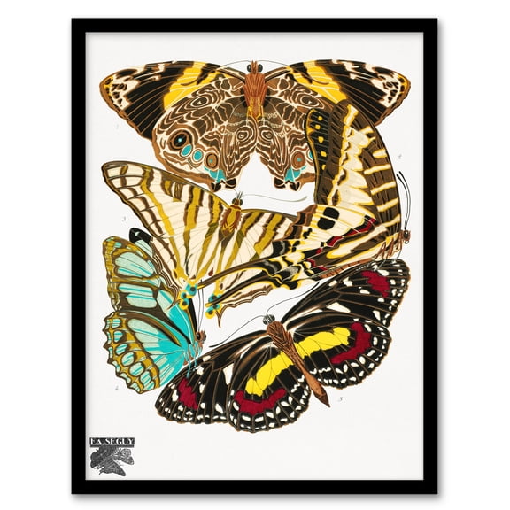 Artery8 Eugene Seguy Papillons Butterflies Vintage Framed Wall Art Print Home Décor A4