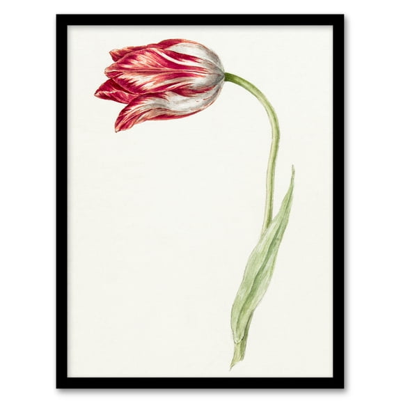 Artery8 Jean Bernard Pink Tulip Flower Drawing Framed Wall Art Print Home Décor A3