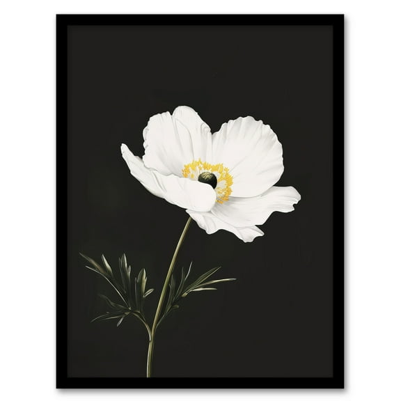 Artery8 Single White Poppy Anemone Flower Black Floral Living Room Art Print Framed Poster Wall Decor 12x16 inch