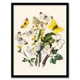 thumbnail image 1 of Artery8 William Forsell Kirby Caterpillars and Butterflies Framed Wall Art Print Home Décor A4, 1 of 4
