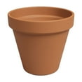 thumbnail image 1 of Artevasi 4-Inch Natural Terracotta Clay Pot with Drainage Hole for Plants, 1 of 7