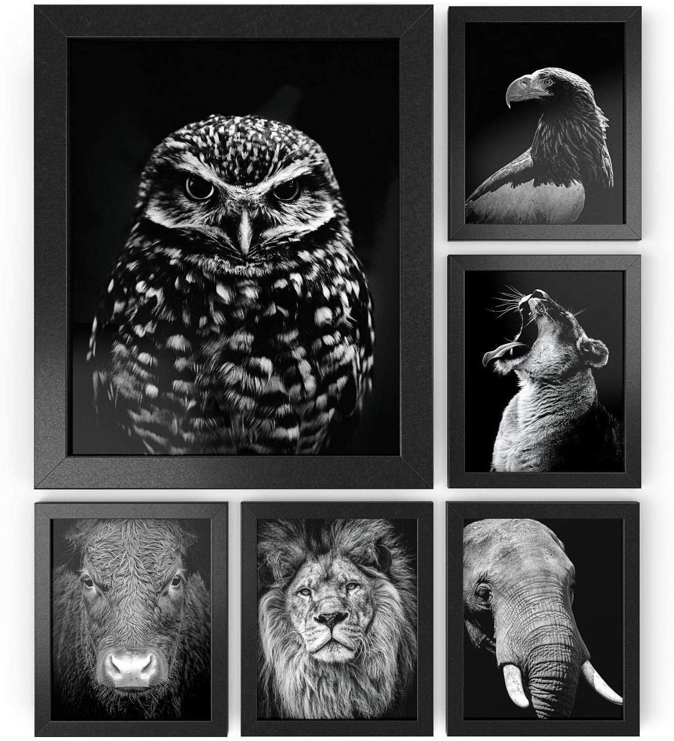 Arteza Premium Glass Picture Frame, Black, 4"x6" 20 Pack