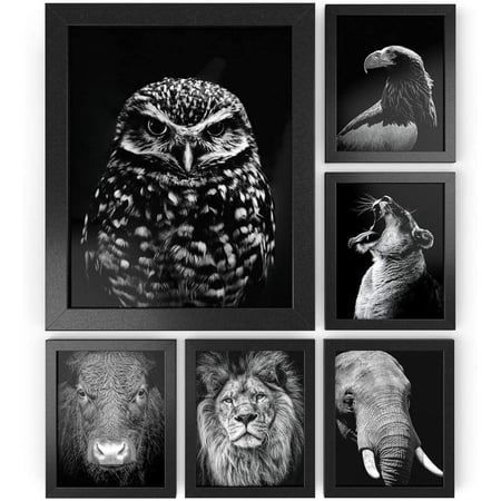Arteza Premium Glass Picture Frames, Black, 8"x10", 6 Pack