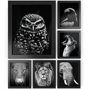 ARTEZA Picture Frames 8 x 10 Display Pictures 6 Pack - Wood Finish Frame - Pure Glass Front - Pictures Frames for Wall - Gallery Wall