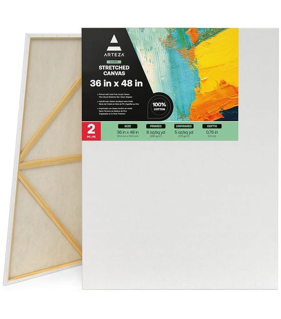  Large Canvases for Painting 36x48 Inch 2-Pack, 12.3 oz Triple  Primed Acid-Free 100% Cotton Stretched Canvas, Blank Large Canvas for Oil  Paint Acrylics Pouring & Wet Art Media