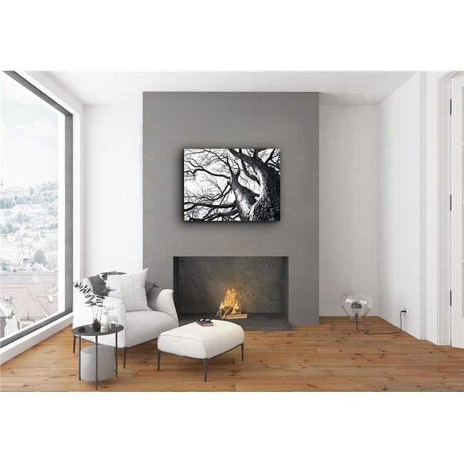 Deer Tree Nature Black and White Canvas Print, 16" x 20"