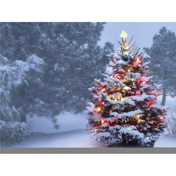 Artful Printers C-16202129 Christmas in The Woods Holiday Canvas Art, 16 x 20 in.