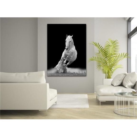 Artful Printers C-20301987 Horse Trot Photography Canvas Art, 20 x 30 in.
