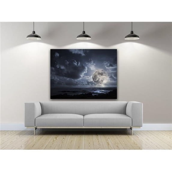 Artful Printers C-20302003 Moonlight Flairs Photography Canvas Art, 20 x 30 in.