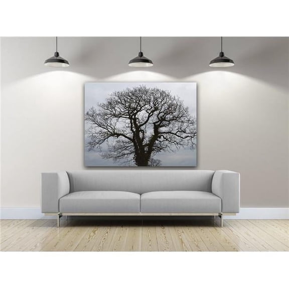 Artful Printers C-20302024 New Beginning Photography Canvas Art, 20 x 30 in.