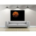 thumbnail image 1 of Artful Printers C-20302081 Spikeball Photography Canvas Art, 20 x 30 in., 1 of 1