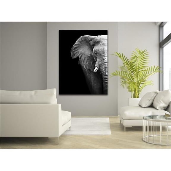 Elephant Profile Photography Canvas Art