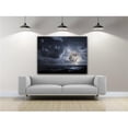 thumbnail image 1 of Artful Printers C-30402005 Moonlight Flairs Photography Canvas Art, 30 x 40 in., 1 of 1