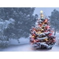 thumbnail image 1 of Artful Printers C-30402132 Christmas in The Woods Holiday Canvas Art, 30 x 40 in., 1 of 1