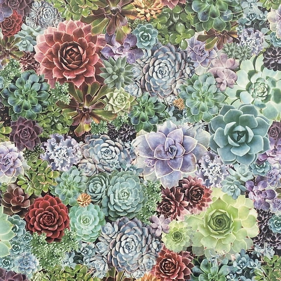Arthouse Rhea Multicolor Succulents Wallpaper