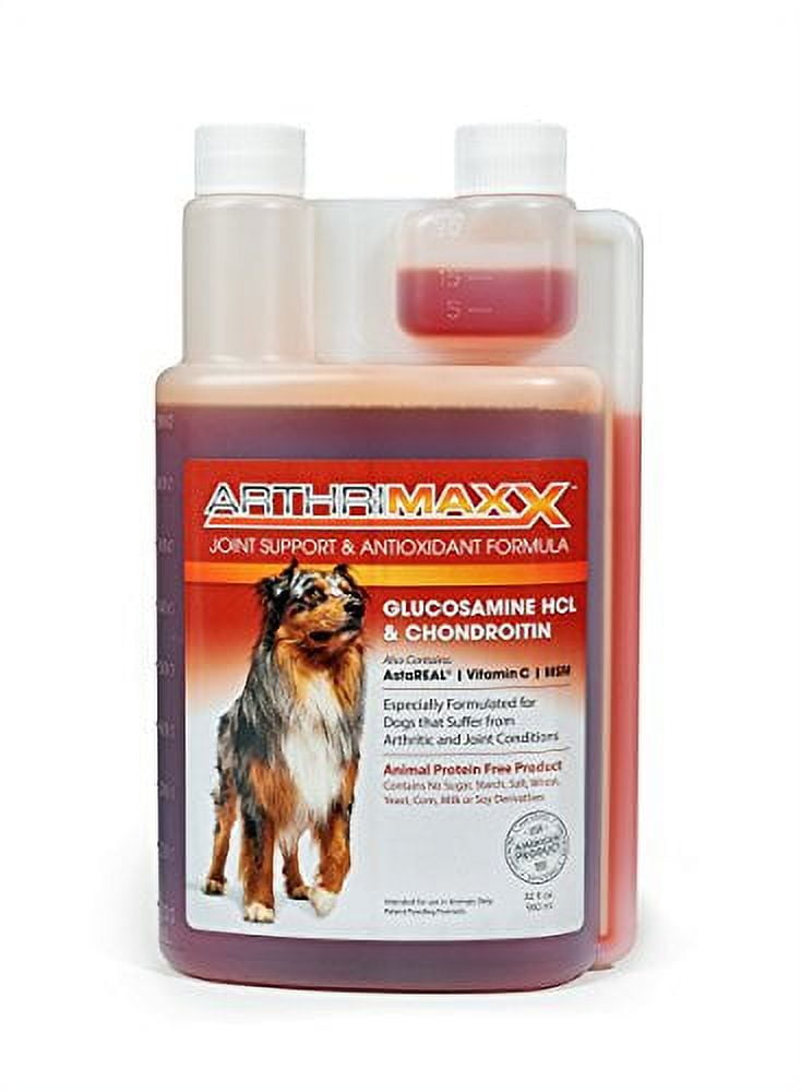 Glucosamine and chondroitin sulfate for dogs online