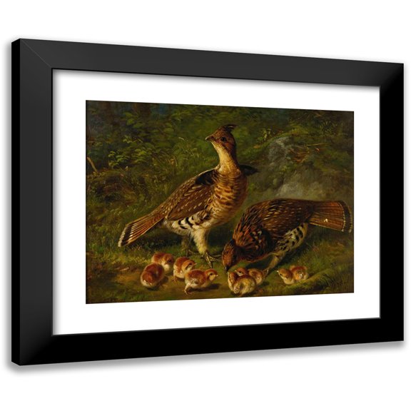 Arthur Fitzwilliam Tait 14x12 Black Modern Framed Museum Art Print Titled - Pair Ruffed Grouse and Young (1871)