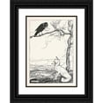 thumbnail image 1 of Arthur Rackham 18x24 Black Ornate Framed Double Matted Museum Art Print Titled: The Fox and the Crow (1912), 1 of 5