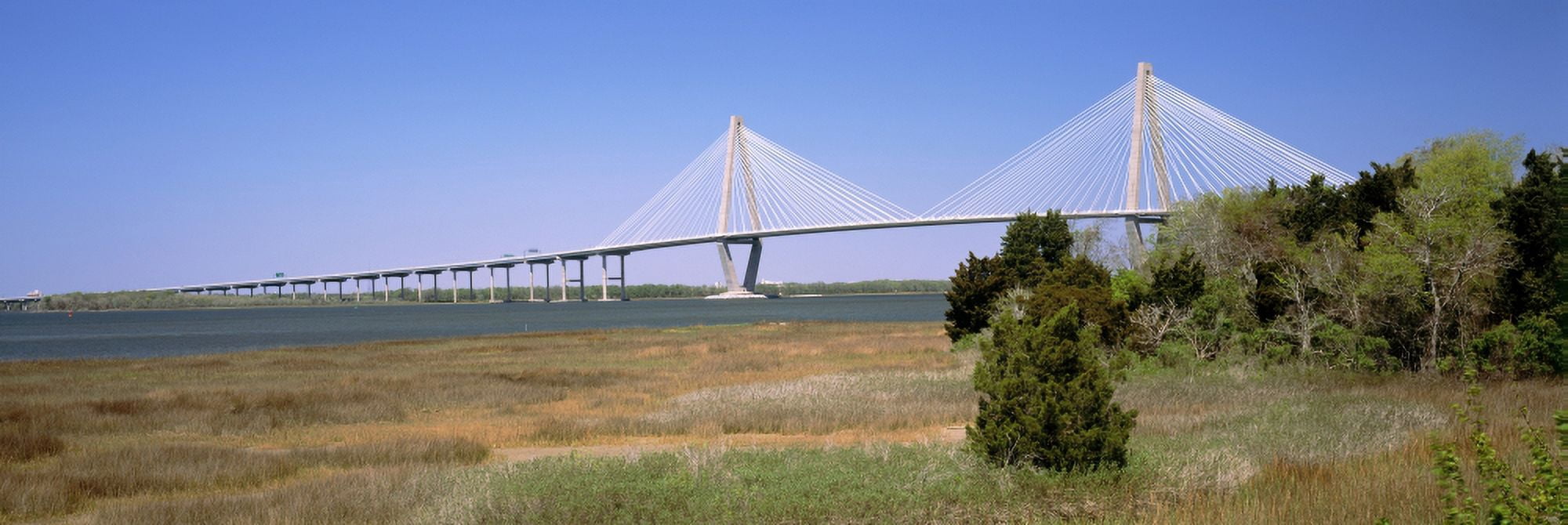 Arthur Ravenel Jr Bridge from Patriots Point Mt Pleasant Charleston County South Carolina USA Canvas Art - Panoramic Images (36 x 12)