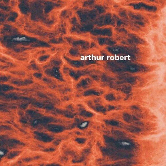 Arthur Robert - Metamorphosis Part 2 - Music & Performance - Vinyl
