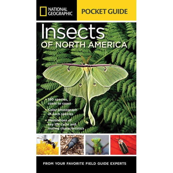 National Geographic Pocket Guide to Insects of North America: From Your Favorite Field Guide Experts (Paperback)