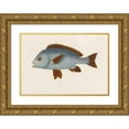 thumbnail image 1 of Arthus Bertrand 18x14 Gold Ornate Wood Frame and Double Matted Museum Art Print Titled - Diagramma Mediterranean (1844-1867), 1 of 4