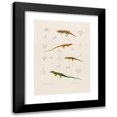 thumbnail image 1 of Arthus Bertrand 18x24 Black Modern Framed Museum Art Print Titled - Stenodactylus Mauritanicus, Lizard Perspicillata, Eremias Pardulis, Lizard Perspicillata (1844-1867), 1 of 5