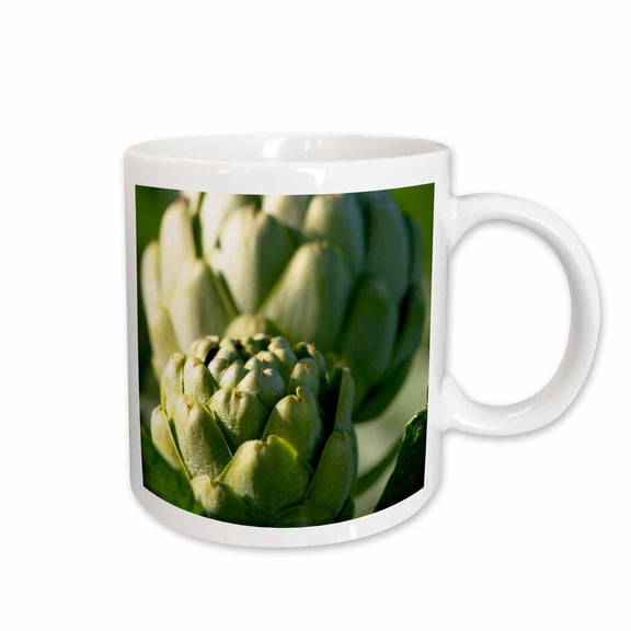 3drose, Artichoke Agriculture Growing in California - Us05 Dfr0290 - David R. Frazier, 11oz Mug